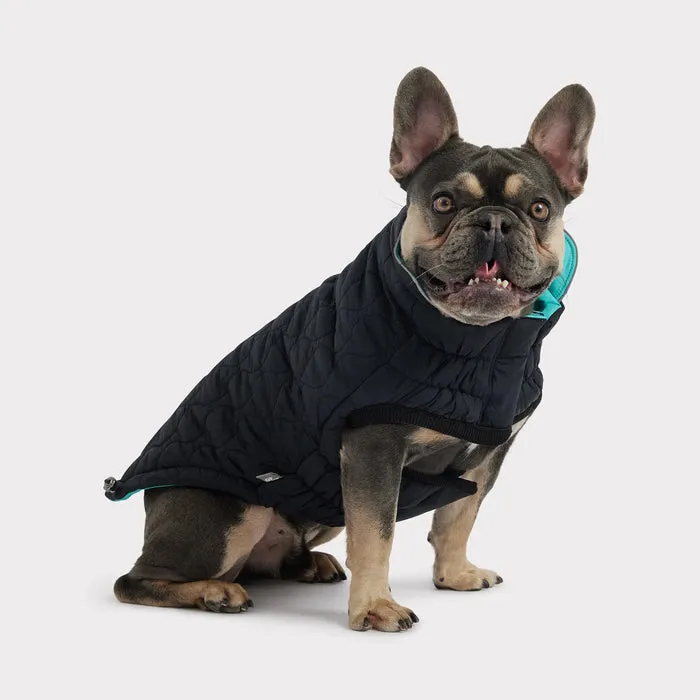 GF Pet Reversible Chalet Jacket - Black/Neon Aqua for Dogs